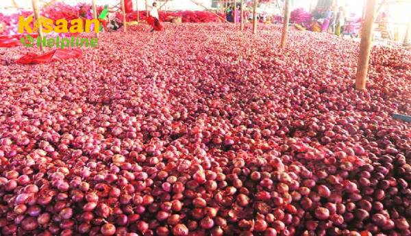 आपूर्ति में गिरावट के साथ थोक प्याज की कीमतें लगभग दोगुनी